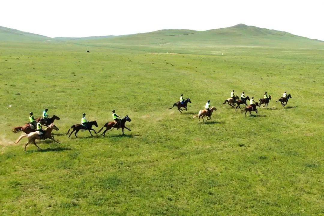 关于蒙古队锐意进取，决胜赛场！的信息