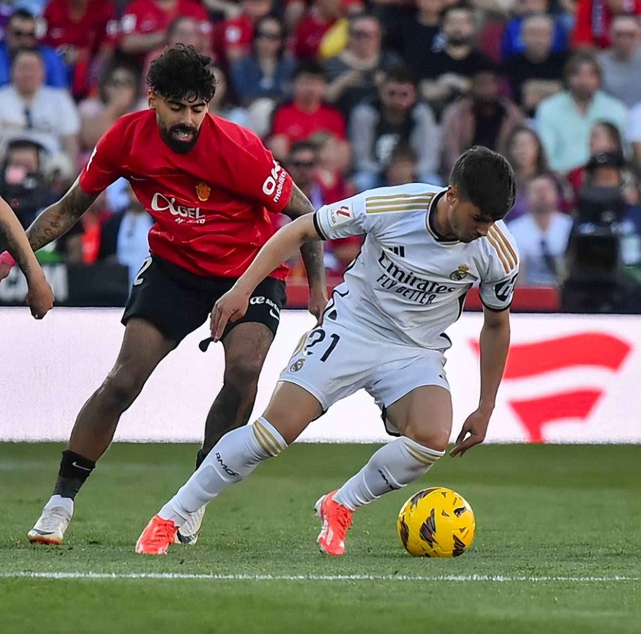 拉齐奥客场防守如铁桶,一球小胜帕尔马的简单介绍 拉齐奥客场防守如铁桶,一球小胜帕尔马的简单介绍