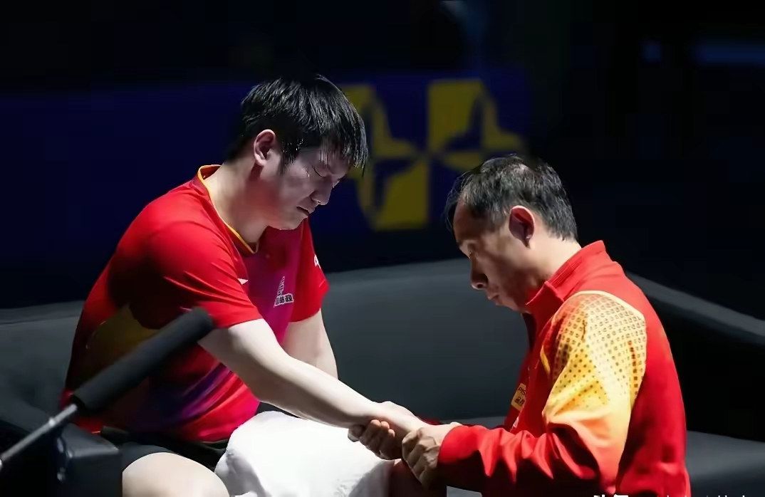 包含英格兰队横扫日本队，樊振东关键制胜的词条